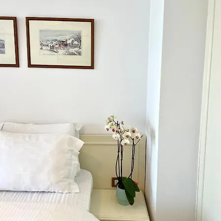 Metro * ティラナ